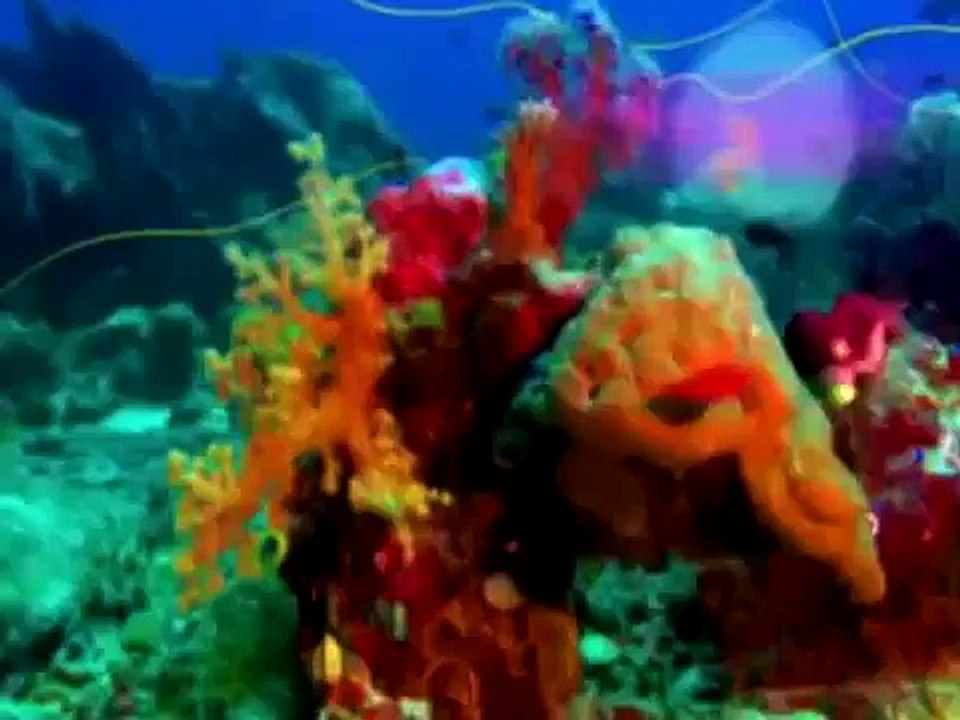 Зиг и Шарко Cartoon Episode 11 12