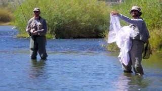 Ex-Wife Wedding Dress Net