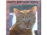 HAPPY BIRTHDAY !  EDDIE, FROM CHESTER