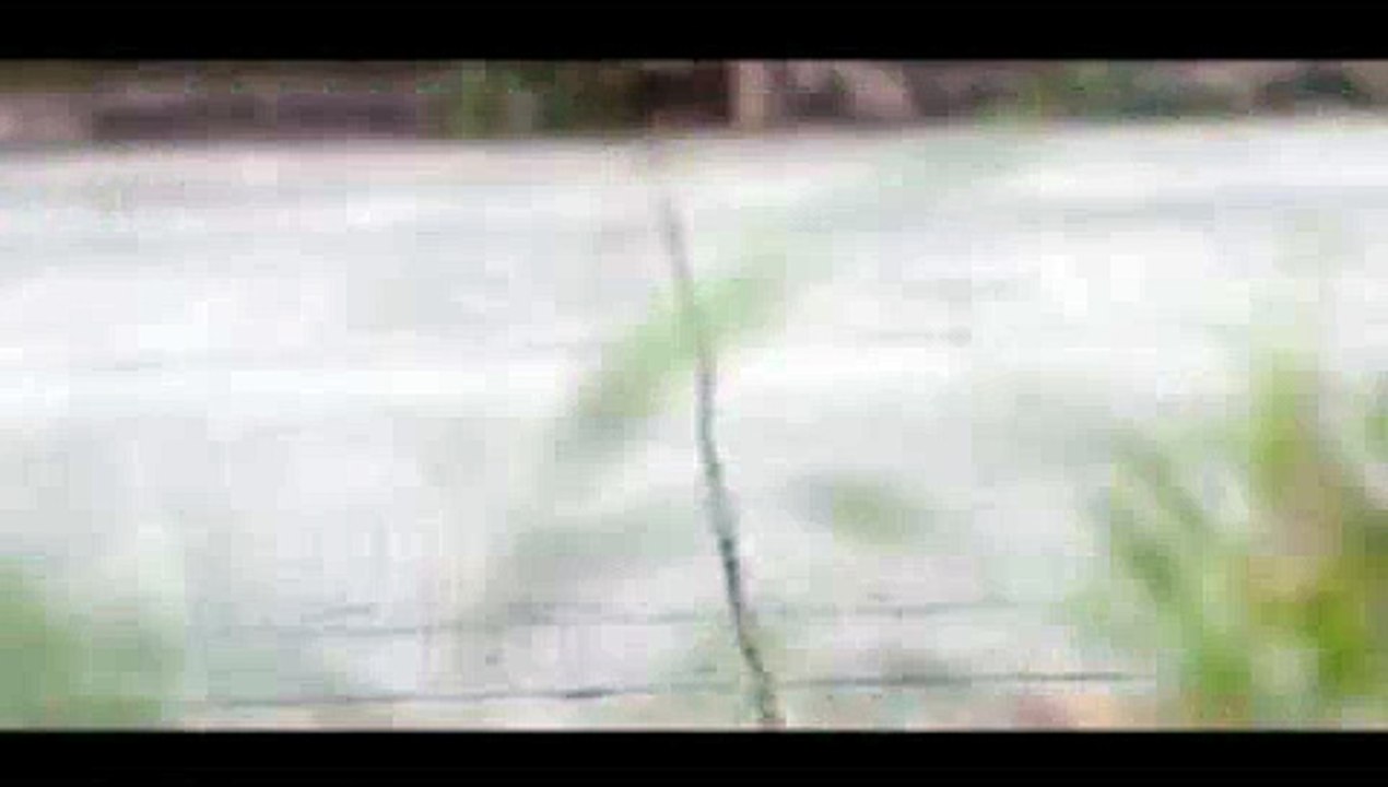 월드바카라††≪【ＳＬＤＢ７。Ｃ0Ｍ】≫††블랙잭하는곳