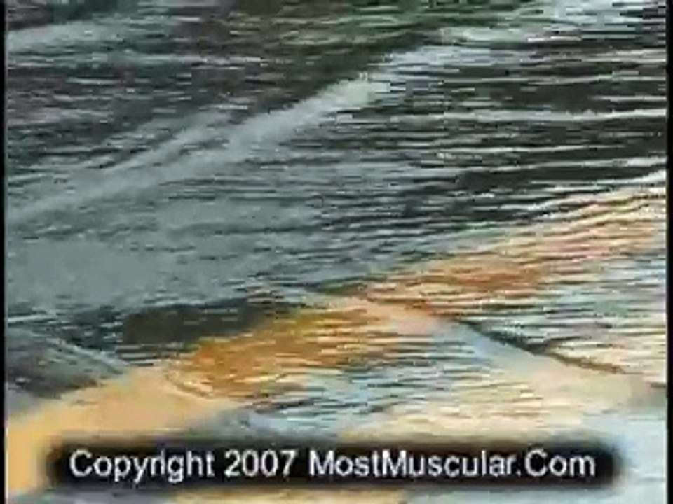 Why flood waters are dangerous
