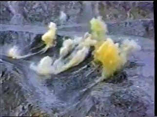 マレーシア東マムート鉱山（解説：宇井 純）