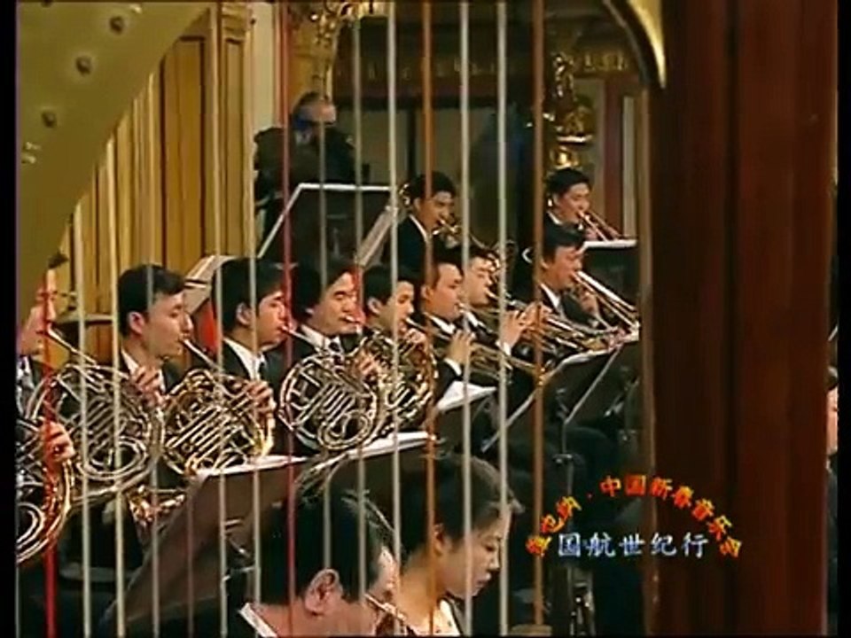 梁祝小提琴协奏曲 The Butterfly Lovers Violin Concerto 2/3 - Performed by Xie Nan 谢楠