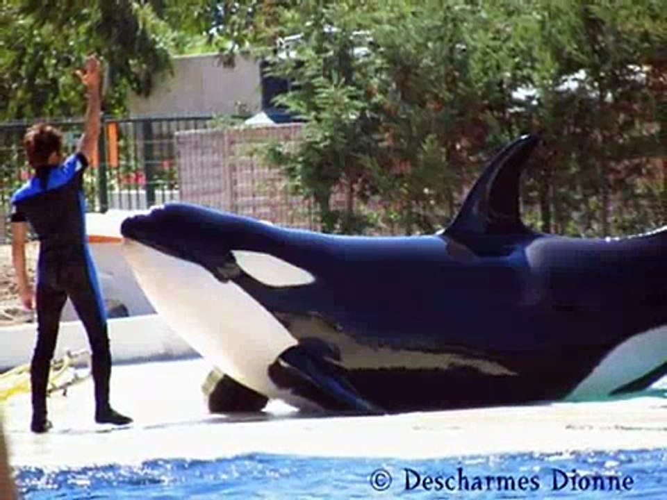 MarineLand Antibes: Valentin