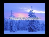 Finlandia - Lapponia Part 4 - Sled dog a Rovaniemi