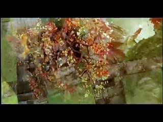 Penelope (Trailer español)