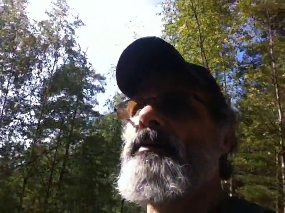 Sep 10 2015 3