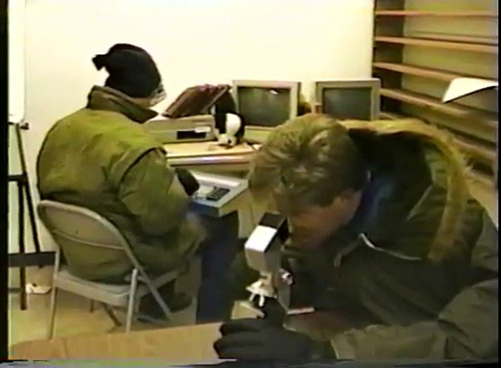 Antarctica's Funniest Home Videos