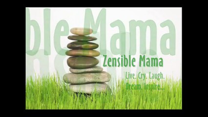 Real Life Airplane Ride! From Take Off to Landing - Charlotte to NY