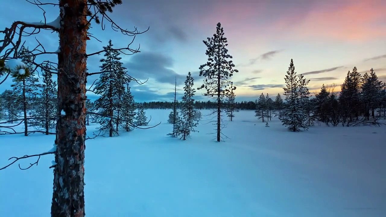 Aurores boreales    norvege