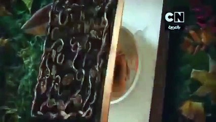 Promo   Over the garden wall   Cartoon Network Arabic