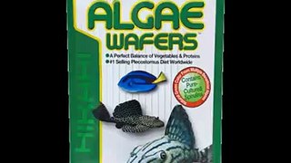 algea wafer 20gms fish food for sell