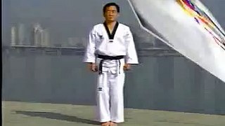 Taekwondo - Pattern 1, Il Jang