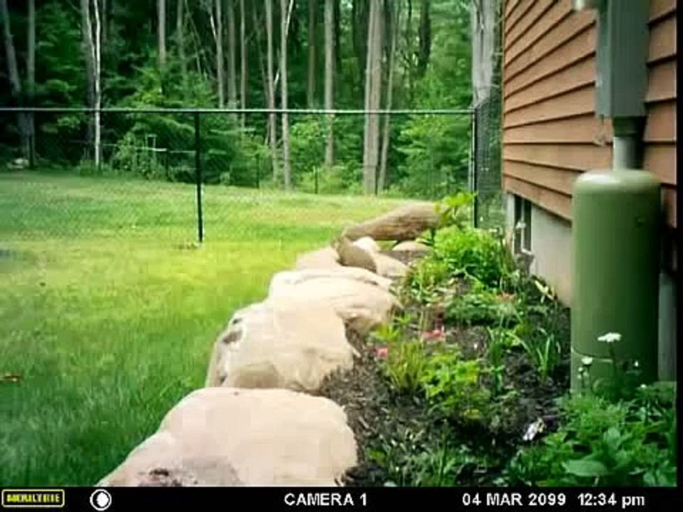 Visitor #2