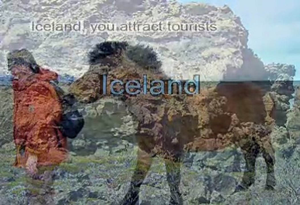 Iceland, care for all guests ! - Second bear killed ...