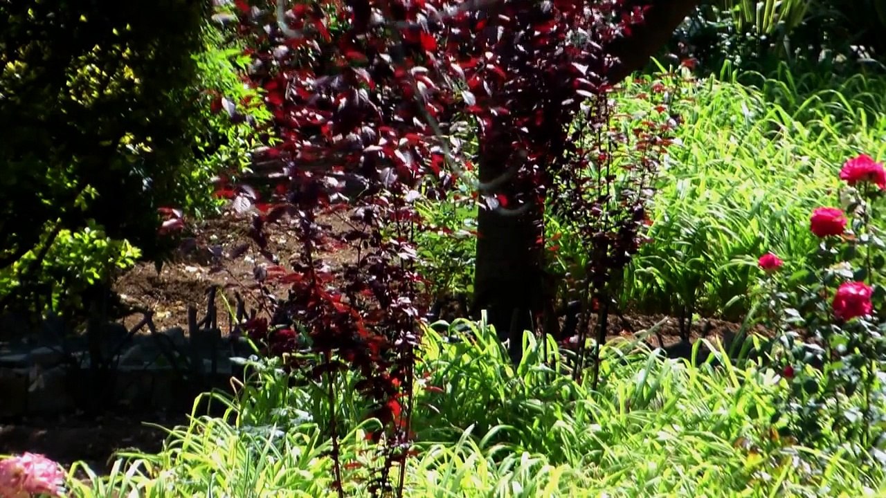 Jardines de Alfábia (Gardens of Alfabia) (video-1), Mallorca, Spain