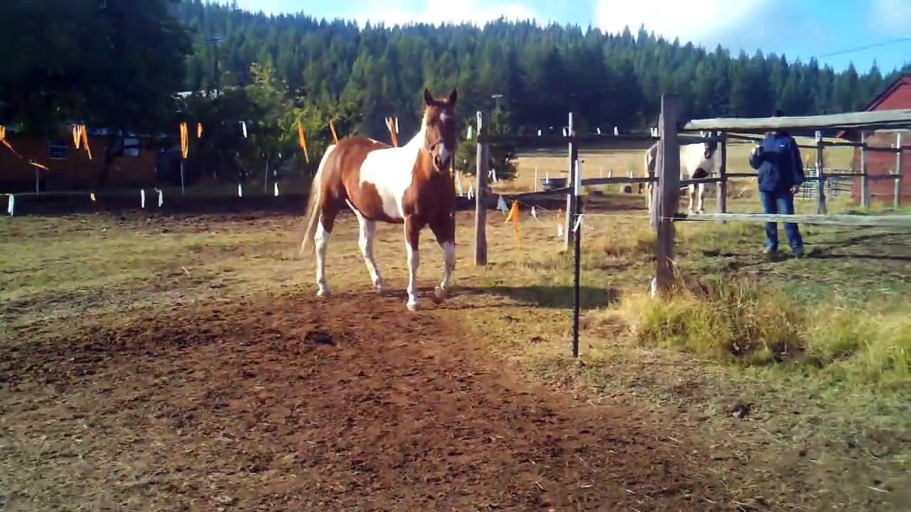 Thunder 10-15-11 009.3gp