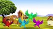 Eagle Cartoon Nursery Finger Family Rhymes For Children | Birds Finger Family Songs For Kids