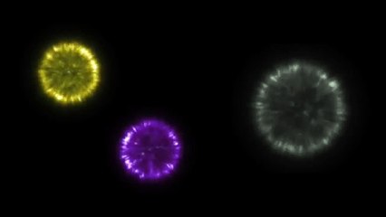 Bosonii forţei slabe