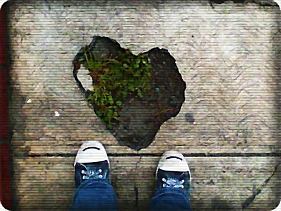 ♫ Changes -Butterfly boucher (xD)  [TRADUCIDA] ♫