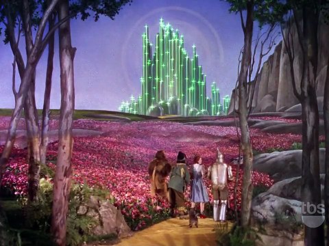 Judy Garland, Ray Bolger, Jack Haley, & Bert Lahr - The Wizard of Oz (1939) - Poppies