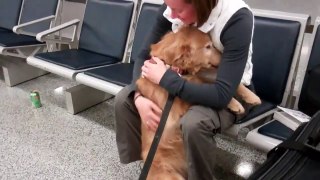 Dog (Molly) Sees Mom, Just Home From Afghanistan