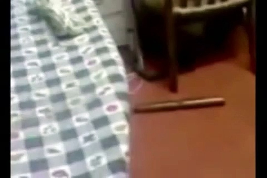 Compilation (Part2) of : " Ghosts , Demons ,Poltergeister , Paranormal ... "