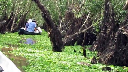 Travel Agent Hanoi | Travel Agent Hanoi | Hanoi Travel Agent | Hanoi Travel Agent
