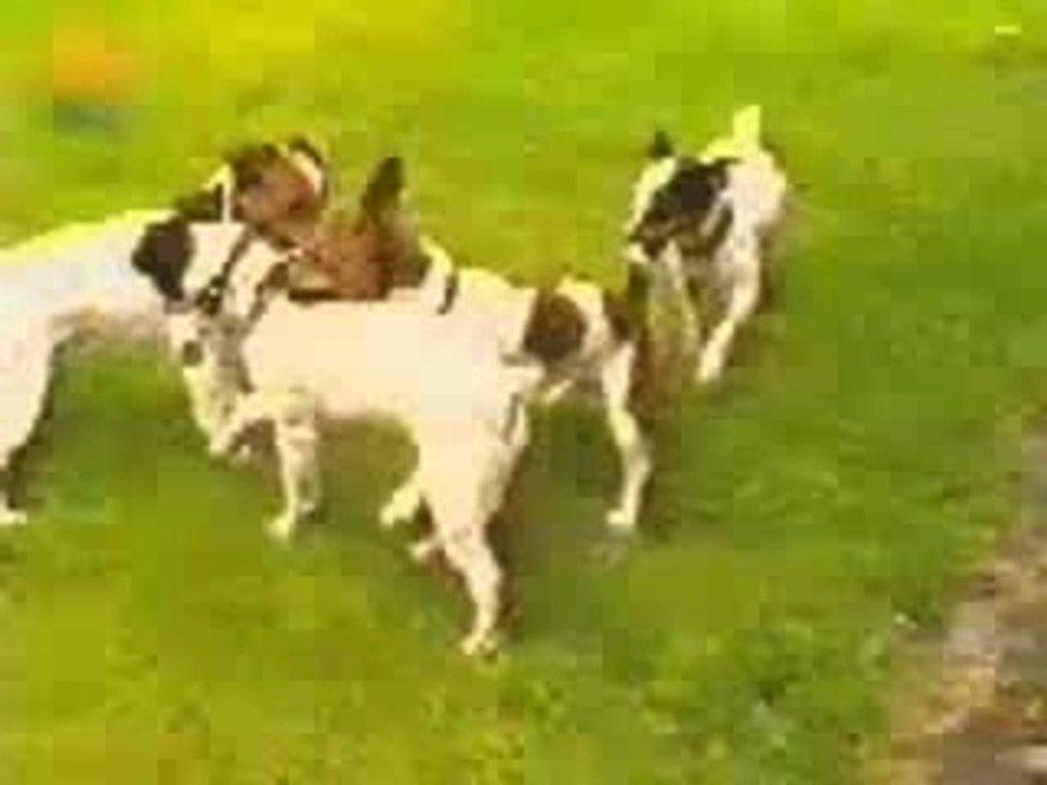 Doggystyle