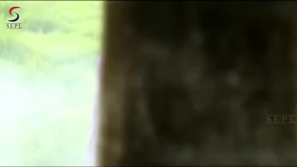 Dirty Aashiq - BOLD MASALA Film Promo Trailer - HD