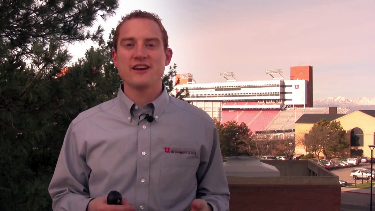 Job Searching Strategies