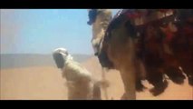 Lawrence of arabia.  Quicksand scene.