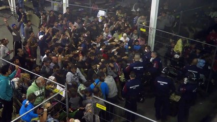 Des migrants nourris de façon "inhumaine" dans le camp de Roszke, en Hongrie