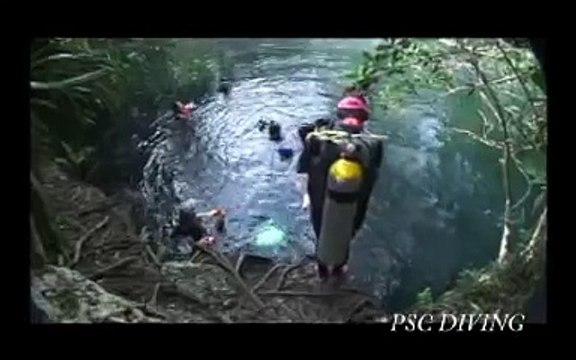 CENOTE ANGELITA （不思議なセノーテ　ダイビング）