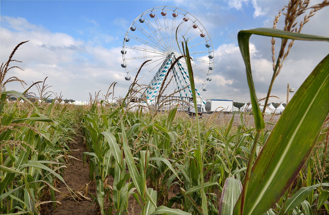 Les Terres de Jim : la plus grande fête agricole en plein air d'Europe à Marly-Frescaty