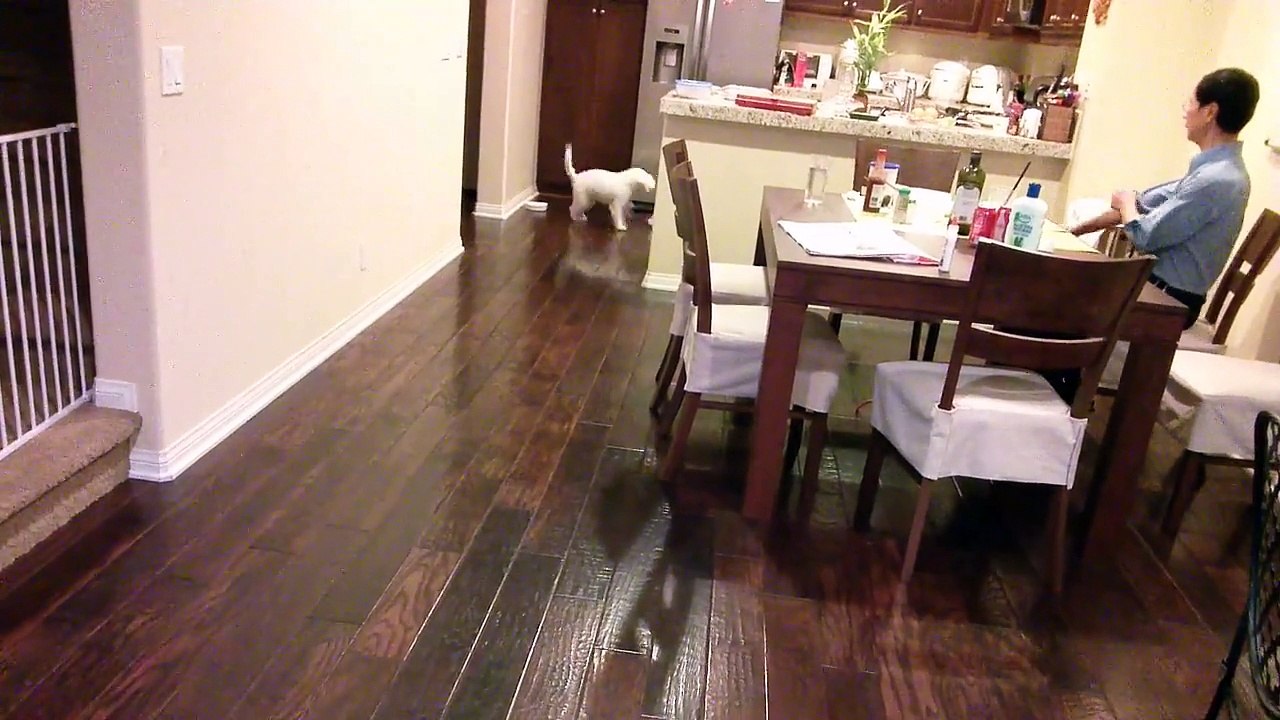 Bennie and his milk carton
