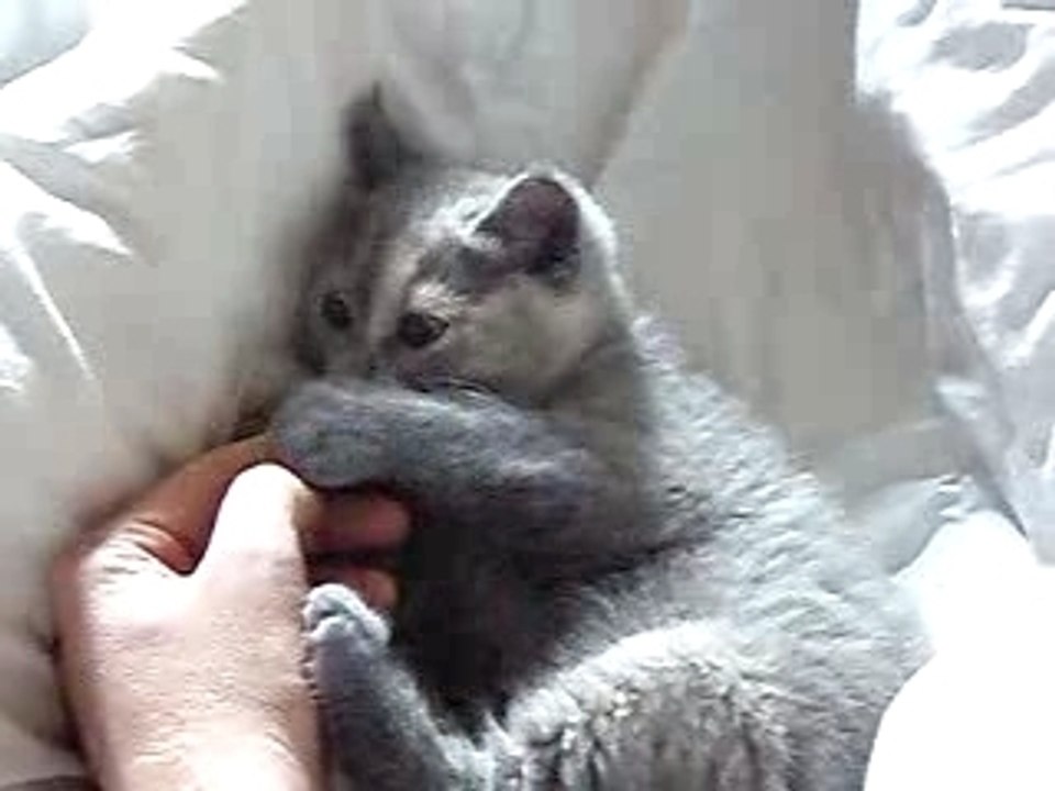 J'aime mon papa