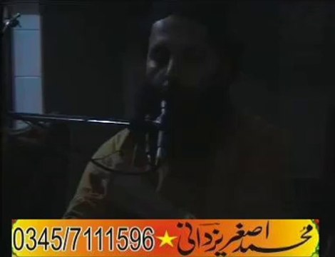 Professor Abdul Razzaq Sajid (islam nagar faisalabad 14 August 2015 )By Asghar yazdani