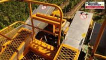 VIDEO. Marigny-Brizay. Les vendanges débutent dans le Haut-Poitou