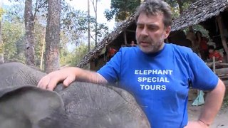 Elephant Special Tours - Elefanten kennenlernen in Thailands Norden [Full Episode]