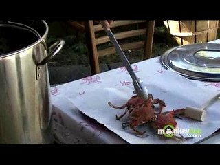 How to Cook and Eat Crabs