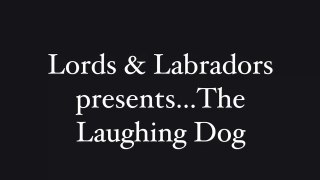 Lords & Labradors presents Laughing Dog Food - black and white film, funny dog eating