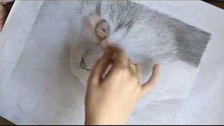 Котёнок. Рисунок карандашом /  Kitten. Pencil drawing