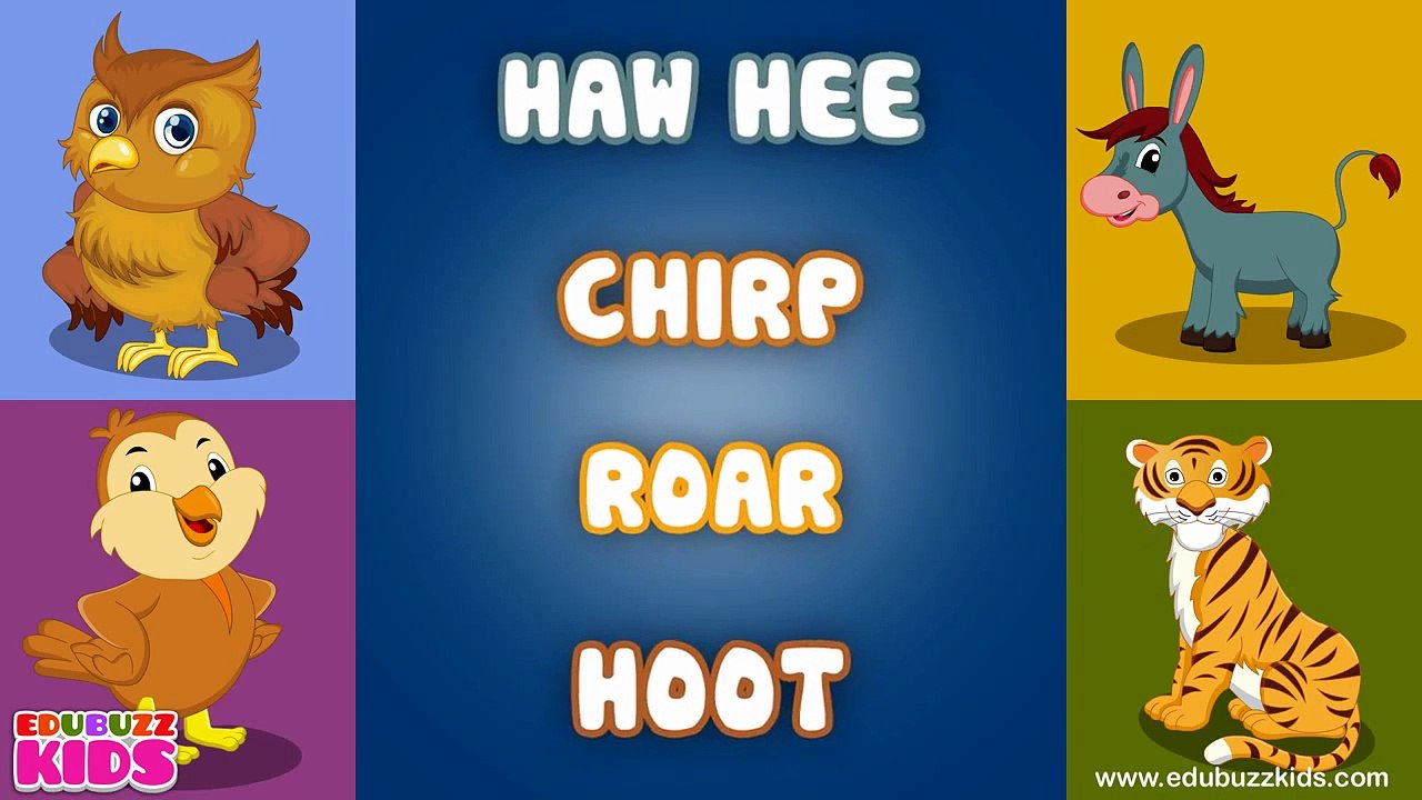 The Animal Sounds Song  Sounds of the Animals Song