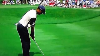Tiger Woods - Short Spinning Wedge Off a Tight Lie (Pro Pitch)