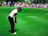 Tiger Woods - Short Spinning Wedge Off a Tight Lie (Pro Pitch)