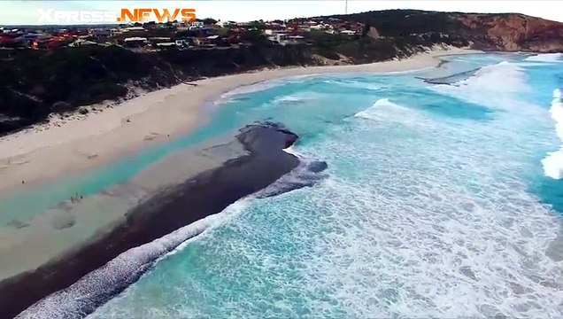 Des dauphins s'amusent à surfer des vagues en Australie