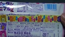 Đồ Chơi Nhật Bản Pittann Animal gumi Japanese candy ピッタンアニマルグミ