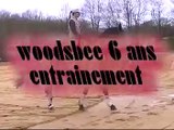 entrainement woodsbee dressage 6 ans
