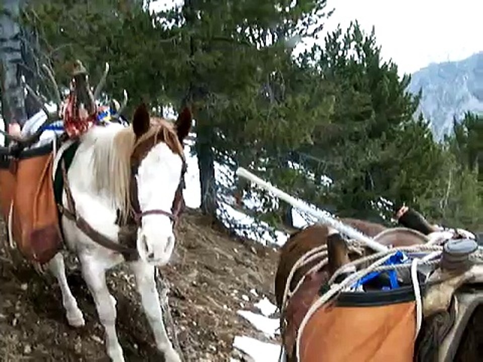 Montana Elk Hunting With Brad